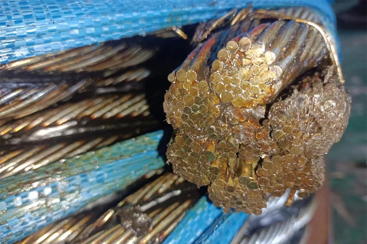 IWRC-strukturen för stållinan - del 2